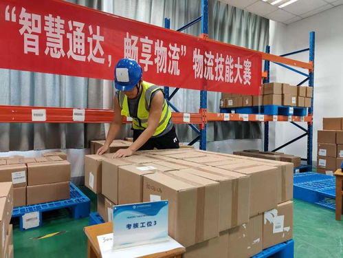 匠心筑夢(mèng) 技能成才 啟航未來(lái) 經(jīng)貿(mào)學(xué)院第五屆經(jīng)濟(jì)節(jié)專業(yè)技能競(jìng)賽圓滿落幕，引領(lǐng)經(jīng)濟(jì)貿(mào)易咨詢新高度